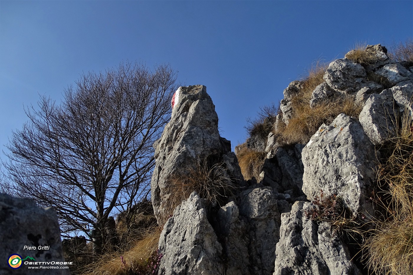 48... in decisa salita per l'anticima del Suchello anche su facili roccette.JPG